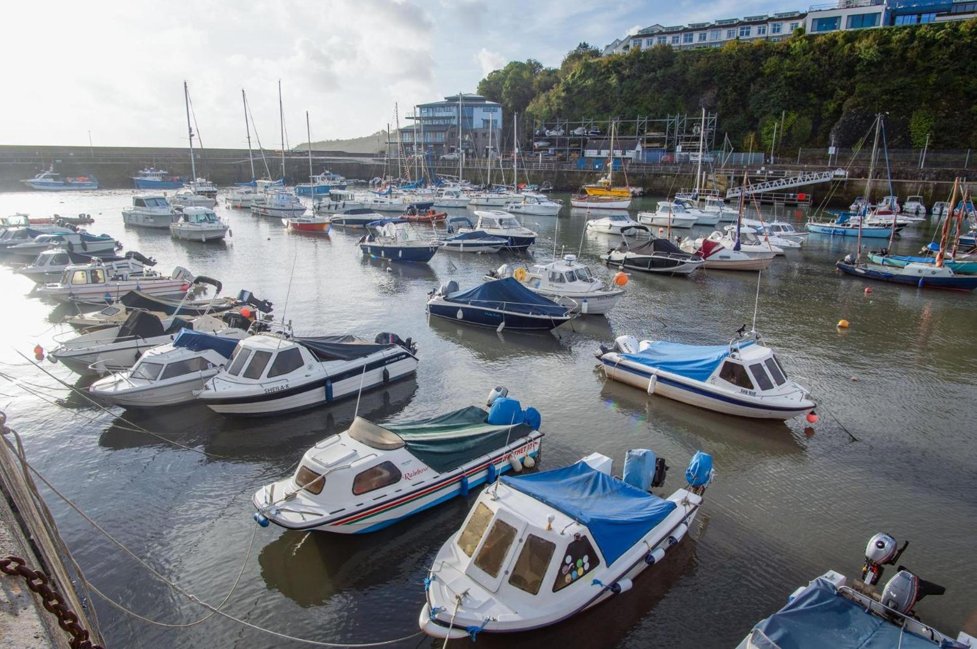 Ocean Cabins No 3 At The Square - Saundersfoot Quarto foto